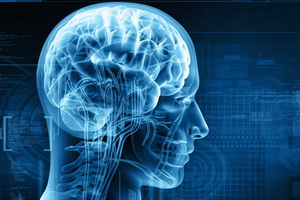 emotional intelligence