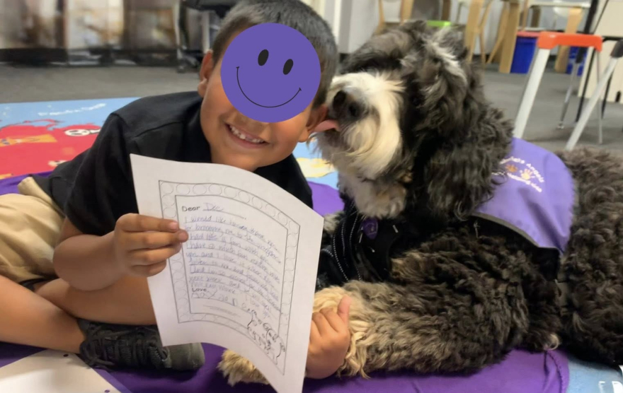 Einstein the rescue dog—From Underdog to Wonderdog: a story of healing, belonging, resilience and H.O.P.E.