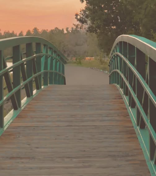 Bridge pathway—moving from fear to freedom with H.O.P.E. and WHOLE YOU self-leadership.