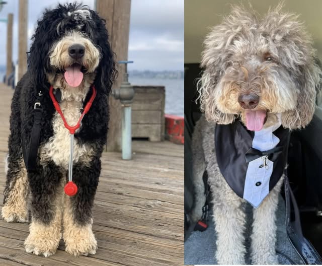 Doc and Einstein—two lives, one mission: lead with love, kindness, and H.O.P.E.