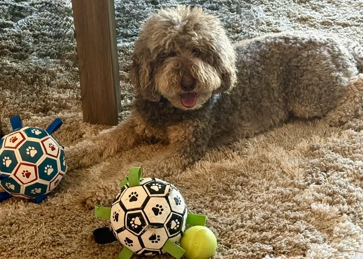 Einstein at play—curiosity, toys, and joy as signs of healing and new possibilities.