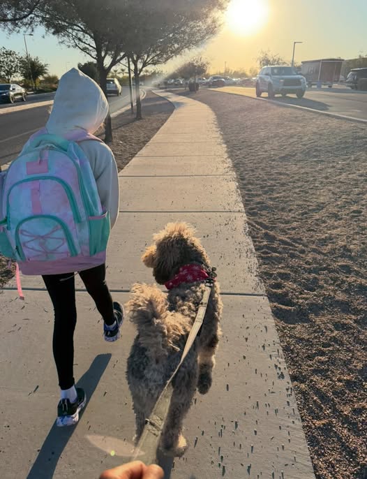 Einstein walking a neighbor girl to school—safe touch, connection, and trust.
