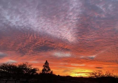 WHOLE YOU life coaching for women—certified online life coach for mindset, confidence, resilience, and life strategy; sunrise symbolizing new direction.