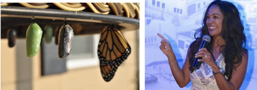 Authentic transformation—chrysalis to butterfly Kim Peterson’s transformation from fear to freedom, symbolized by a chrysalis-to-butterfly image representing authentic growth, resilience, and confidence.