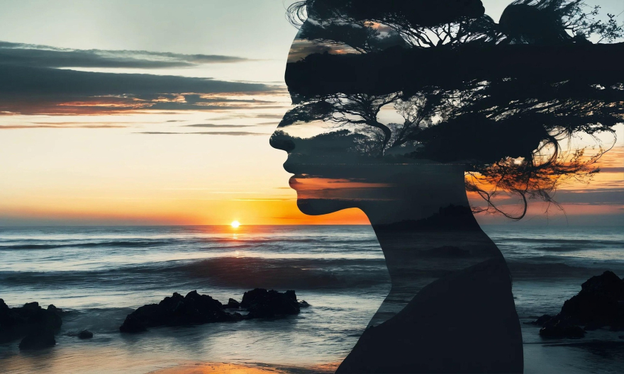 WHOLE YOU Framework—integrated mental, emotional, physical, and spiritual health for authentic self-leadership.