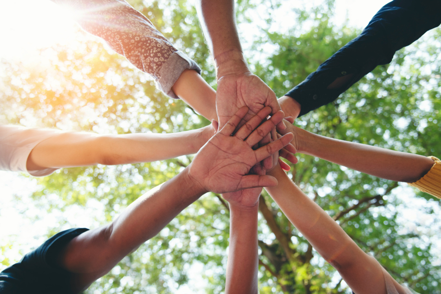 Symbolic representation of the WHOLE YOU Difference—wholeness, integration, and resilience in trauma-informed leadership and coaching.