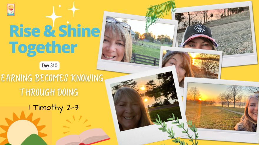 Day 310- Learning becomes knowing through doing