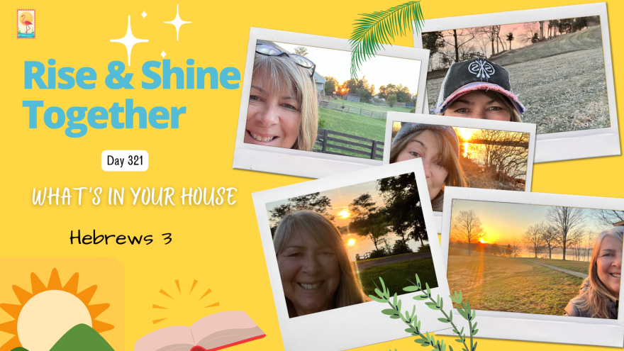 Day 321- What's In Your House