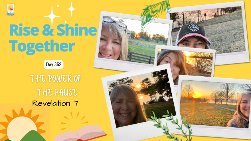 Day 352- The Power of the Pause