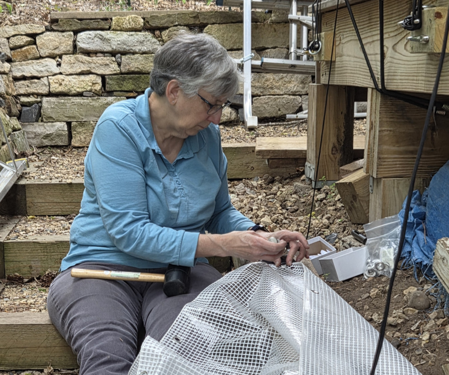 Barb fixing tarps in her backyard Barb fixing tarps in her backyard
