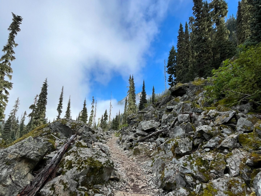 A rugged mountain path with trees in the background A rugged mountain path with trees in the background