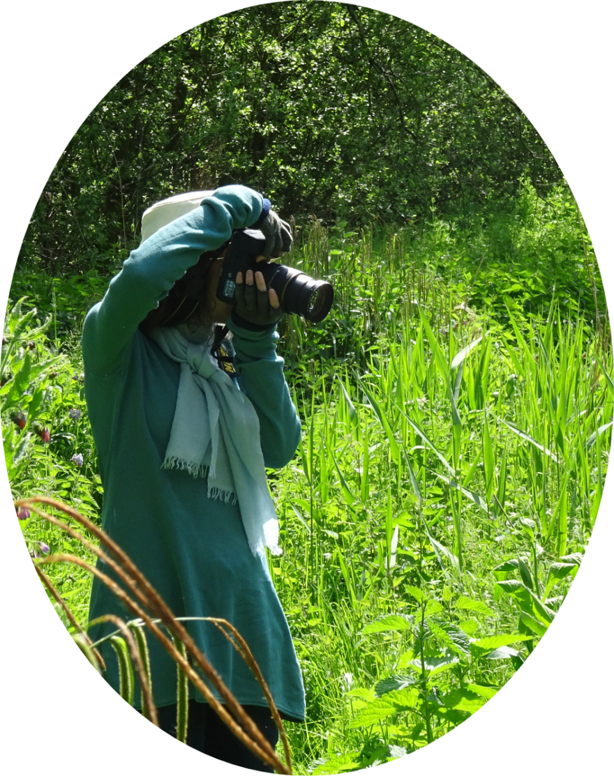 Karen Adams taking photographs in Fordham Woods-Oval