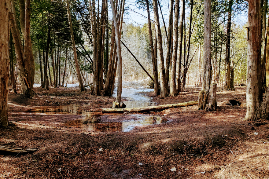 Overflow at the creek