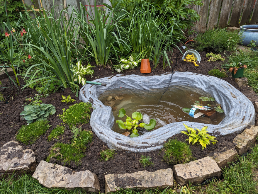 New Pond Built