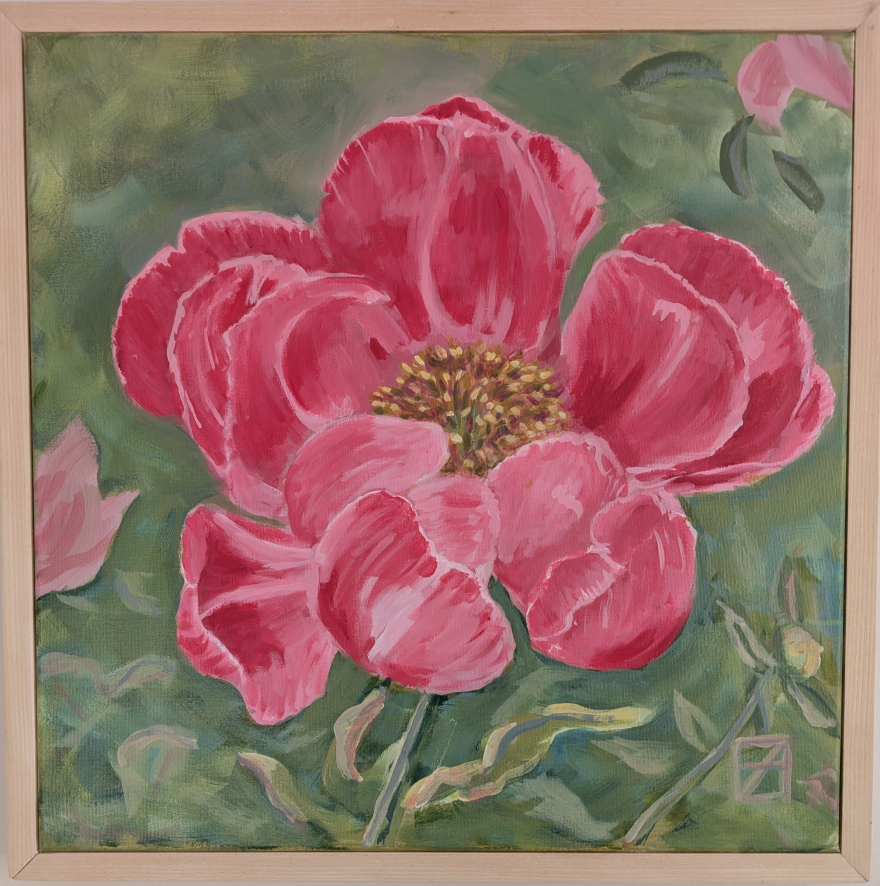 Pink Peony